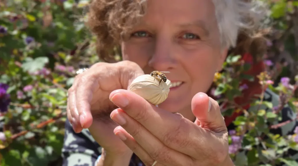 Cette fleur à semer en mars offre un festin aux abeilles et un refuge aux oiseaux